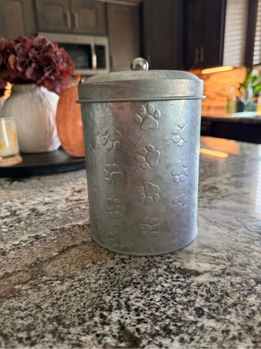 Pet Paw Print Metal Treat Canister - Silver galvanized steel
